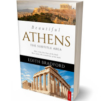 3D view of Premade Travel Book Cover - Bison Hide