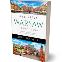 3D view of Premade Travel Book Cover - Silk