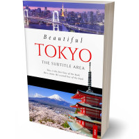 3D view of Premade Travel Book Cover - Thunder