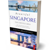 Tablet view of Gray Suit #5340 - Premade Travel Book Cover