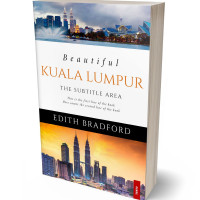 Tablet view of Akaroa #5343 - Premade Business Book Cover