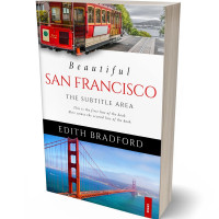 3D view of Premade Travel Book Cover - Casper