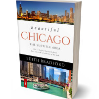 Tablet view of Ebony Clay #5358 - Premade Travel Book Cover