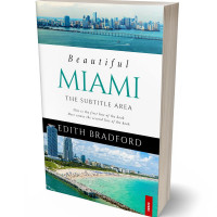 Tablet view of Celeste #5362 - Premade Travel Book Cover