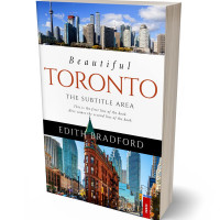 3D view of Premade Travel Book Cover - Shark