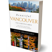 3D view of Premade Travel Book Cover - Whiskey