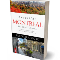 3D view of Premade Travel Book Cover - Armadillo