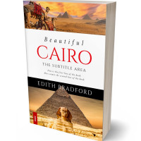 3D view of Premade Travel Book Cover - Tussock