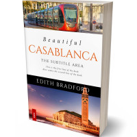 Tablet view of Falcon #5379 - Premade Travel Book Cover