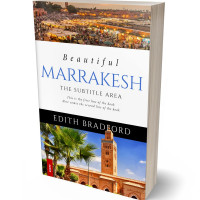 3D view of Premade Travel Book Cover - Mikado