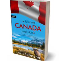 3D view of Premade Travel Book Cover - Shakespeare