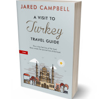 3D view of Premade Travel Book Cover - Tiara