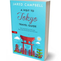 Tablet view of Picton Blue #5461 - Premade Travel Book Cover