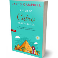 Tablet view of Turquoise #5463 - Premade Travel Book Cover