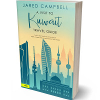 3D view of Premade Abstract Book Cover - Beryl Green