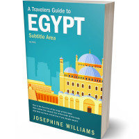 3D view of Premade Travel Book Cover - Eastern Blue