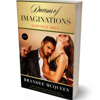 3D view of Premade Erotica Book Cover - Asphalt