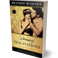 3D view of Premade Erotica Book Cover - Apache