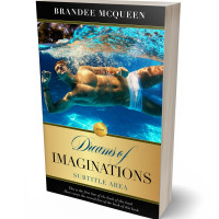3D view of Premade Erotica Book Cover - Big Stone