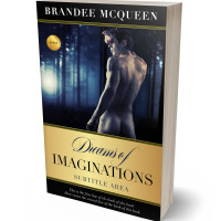 3D view of Premade Erotica Book Cover - Mirage