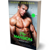 3D view of Premade Erotica Book Cover - Cameo