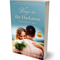 3D view of Premade Romance Book Cover - Gothic