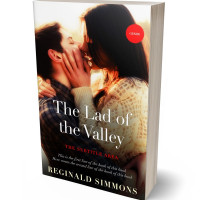 3D view of Premade Romance Book Cover - Oil