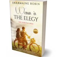 3D view of Rum Swizzle #5688 - Premade Romance Book Cover