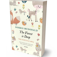 Tablet view of Quarter Spanish White #5732 - Premade Abstract Book Cover