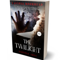 3D view of Cold Turkey #5838 - Premade Mystery & Thriller & Suspense Book Cover