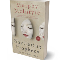 3D view of Premade Self-Improvement & Self-Help Book Cover - Bison Hide