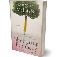 3D view of Premade Education Book Cover - Wafer