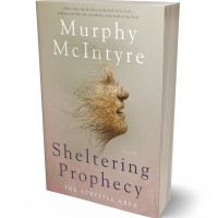 3D view of Premade Self-Improvement & Self-Help Book Cover - Malta