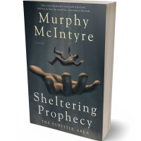 3D view of Premade Business Book Cover - Cape Cod