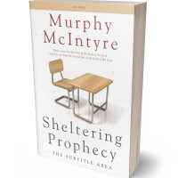 3D view of Premade Education Book Cover - Desert Storm