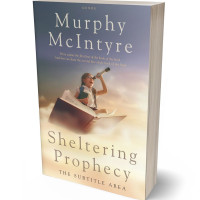 Tablet view of Stark White #6115 - Premade Education Book Cover