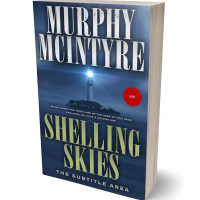 3D view of Premade Mystery & Thriller & Suspense Book Cover - Cloud Burst