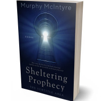 3D view of Premade Religion & Spirituality Book Cover - Bunting