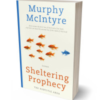 Tablet view of Bianca #6157 - Premade Business Book Cover