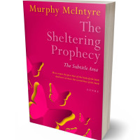 3D view of Premade Romance Book Cover - Razzmatazz