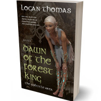 3D view of Premade Fantasy Book Cover - Oil