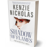 3D view of Premade Mystery & Thriller & Suspense Book Cover - Desert Storm