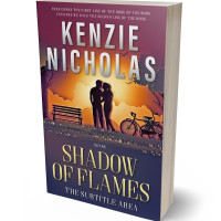 3D view of Premade Romance Book Cover - Eggplant