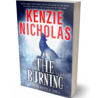 3D view of Premade Horror Book Cover - Fiord