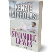 3D view of Premade Erotica Book Cover - Iron