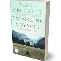 3D view of Premade Romance Book Cover - Swans Down