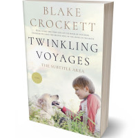 3D view of Premade Abstract Book Cover - Green White