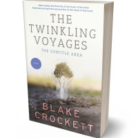 Tablet view of Pampas #6332 - Premade Abstract Book Cover