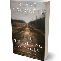 3D view of Premade Action & Adventure Book Cover - Birch