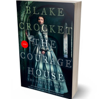 3D view of Premade Fantasy Book Cover - Firefly